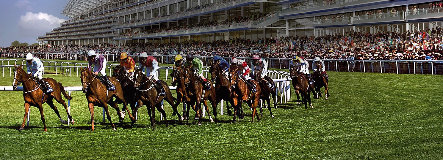 Windsor MP speaks to Racing Post to warn of the damage of proposed affordability checks to British racing